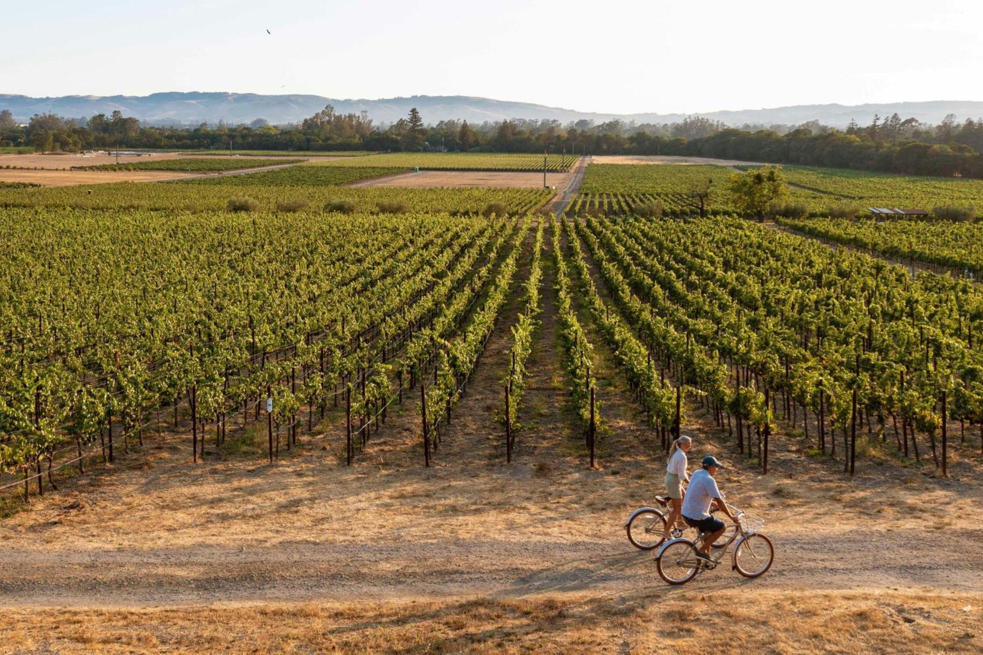 The Lodge At Sonoma Resort, Autograph Collection Екстер'єр фото
