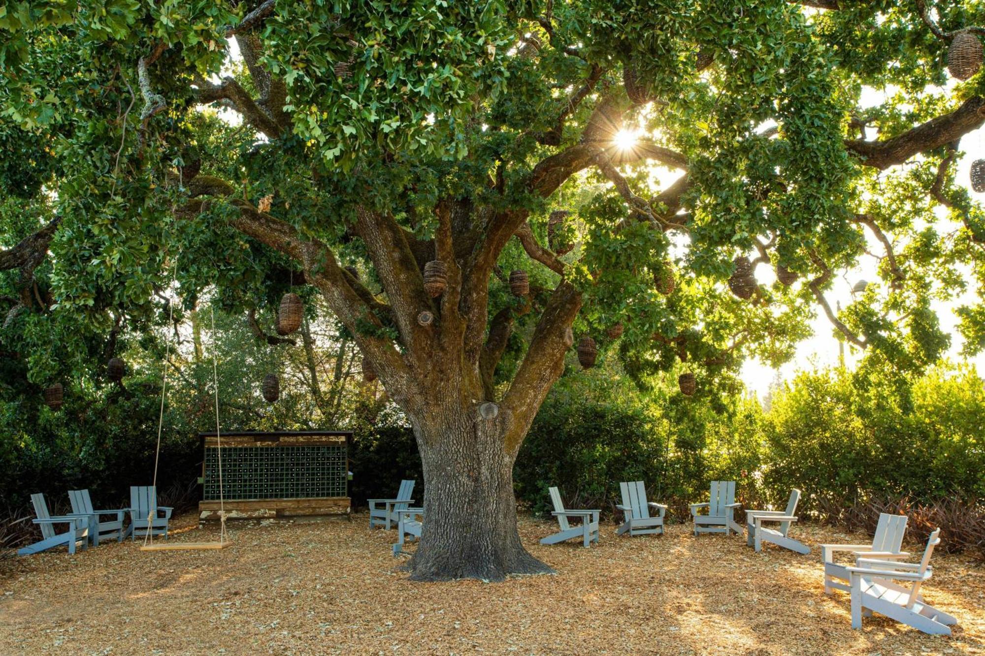 The Lodge At Sonoma Resort, Autograph Collection Екстер'єр фото